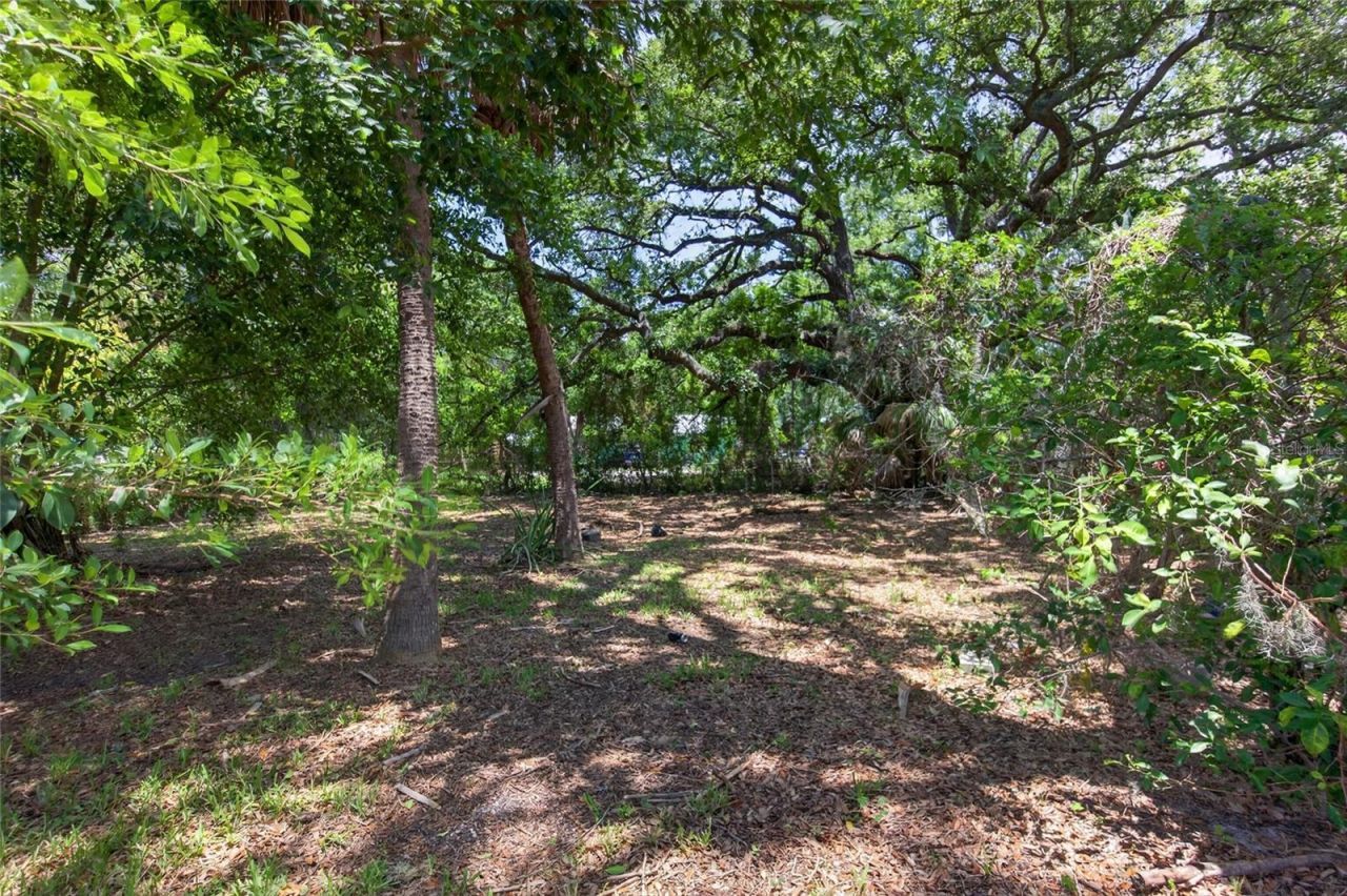 411 12th Avenue E, Bradenton, FL 34208 Photo