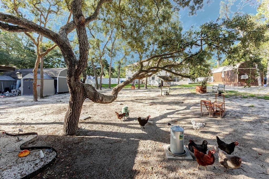 11083 Maybird Avenue, Weeki Wachee, FL 34613 Photo