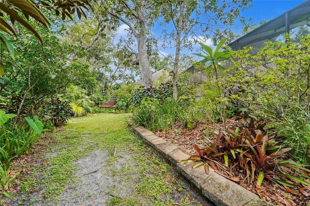 3408 Arcadia Drive, Palm Harbor, FL 34684 Photo