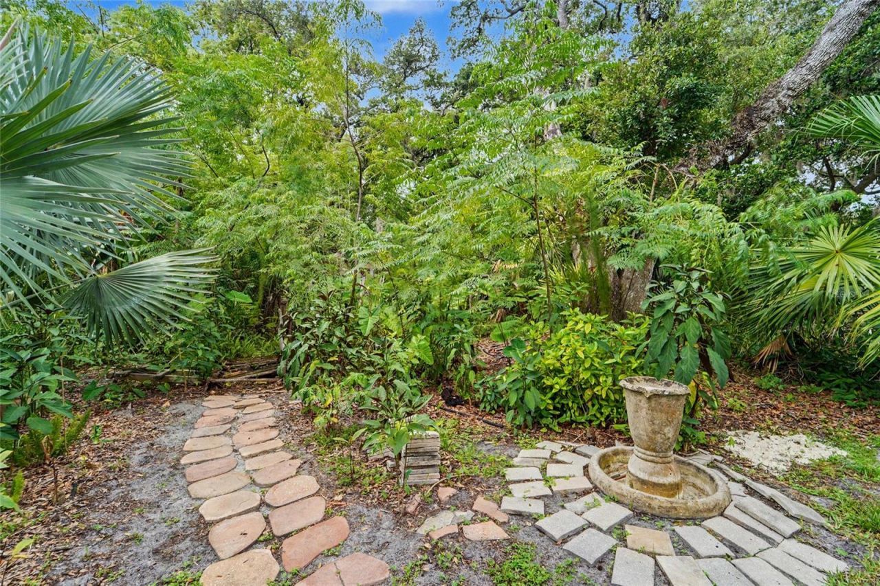 3408 Arcadia Drive, Palm Harbor, FL 34684 Photo