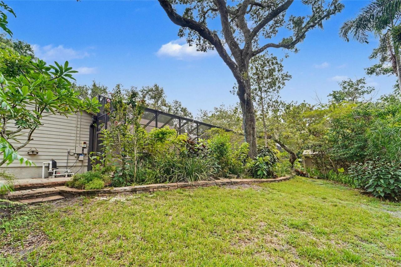 3408 Arcadia Drive, Palm Harbor, FL 34684 Photo