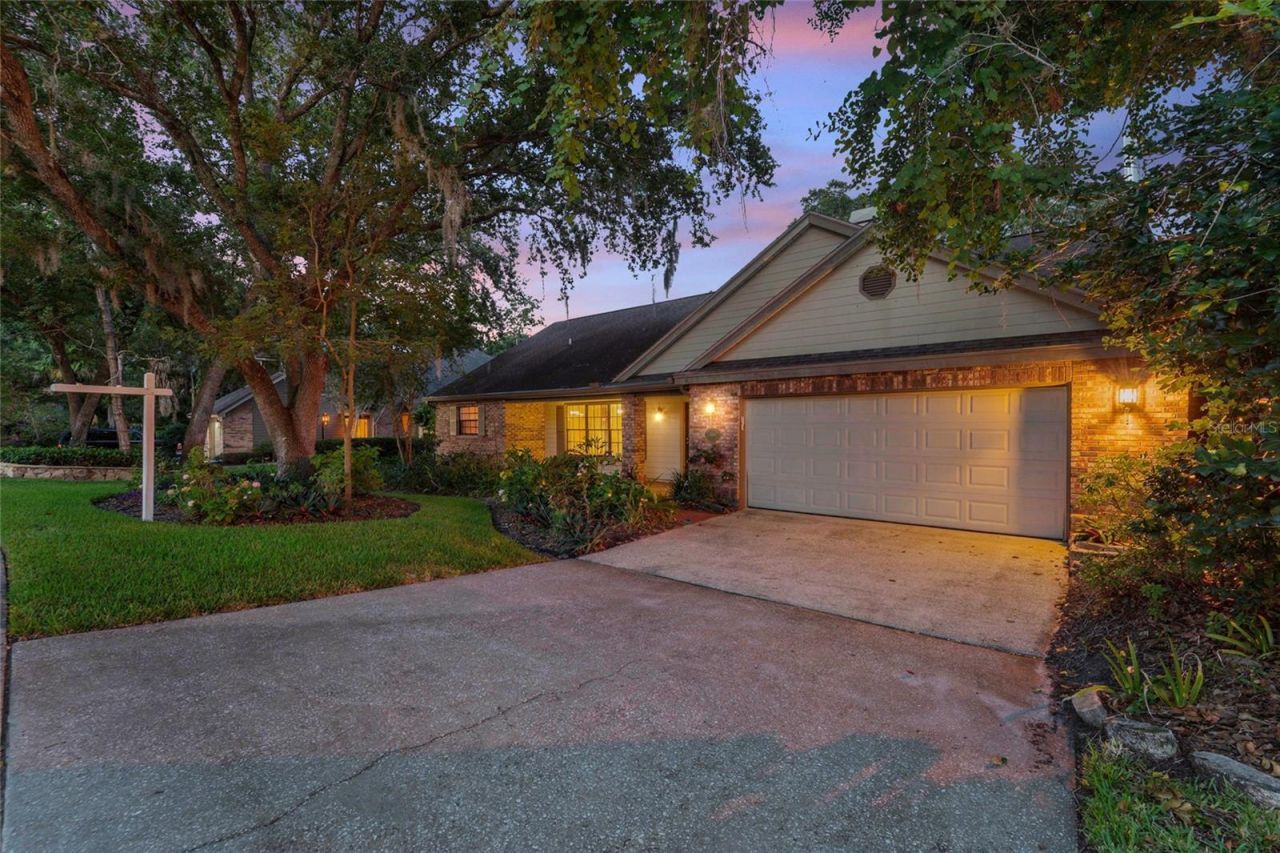 3408 Arcadia Drive, Palm Harbor, FL 34684 Photo