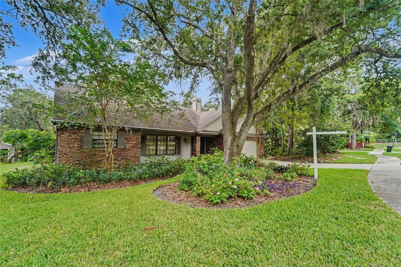 3408 Arcadia Drive, Palm Harbor, FL 34684 Photo