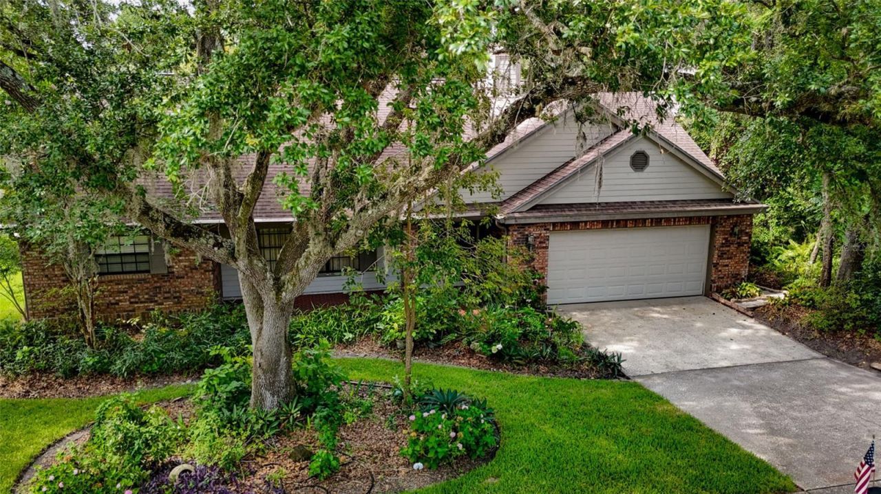 3408 Arcadia Drive, Palm Harbor, FL 34684 Photo
