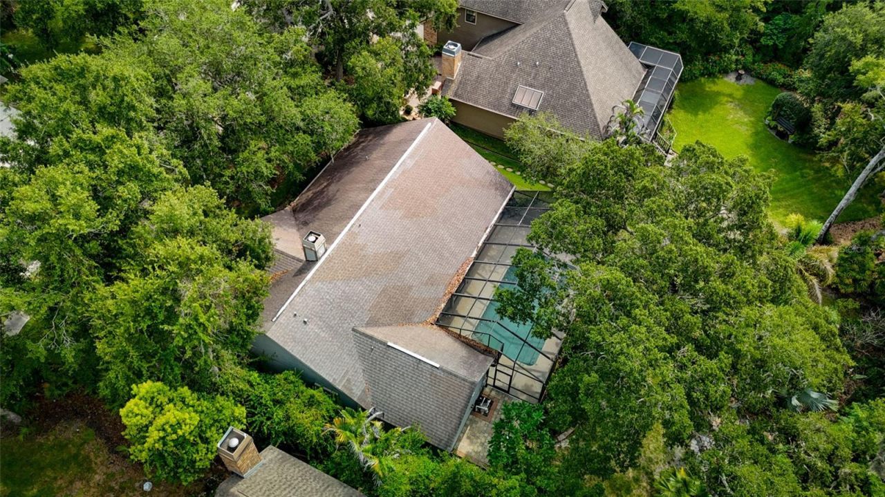 3408 Arcadia Drive, Palm Harbor, FL 34684 Photo