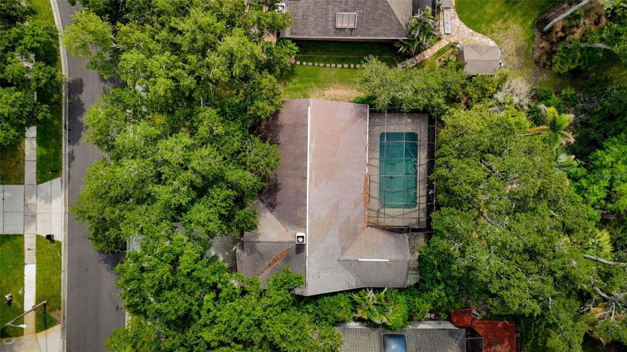 3408 Arcadia Drive, Palm Harbor, FL 34684 Photo