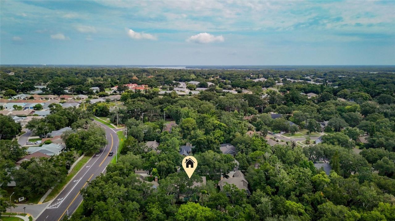 3408 Arcadia Drive, Palm Harbor, FL 34684 Photo