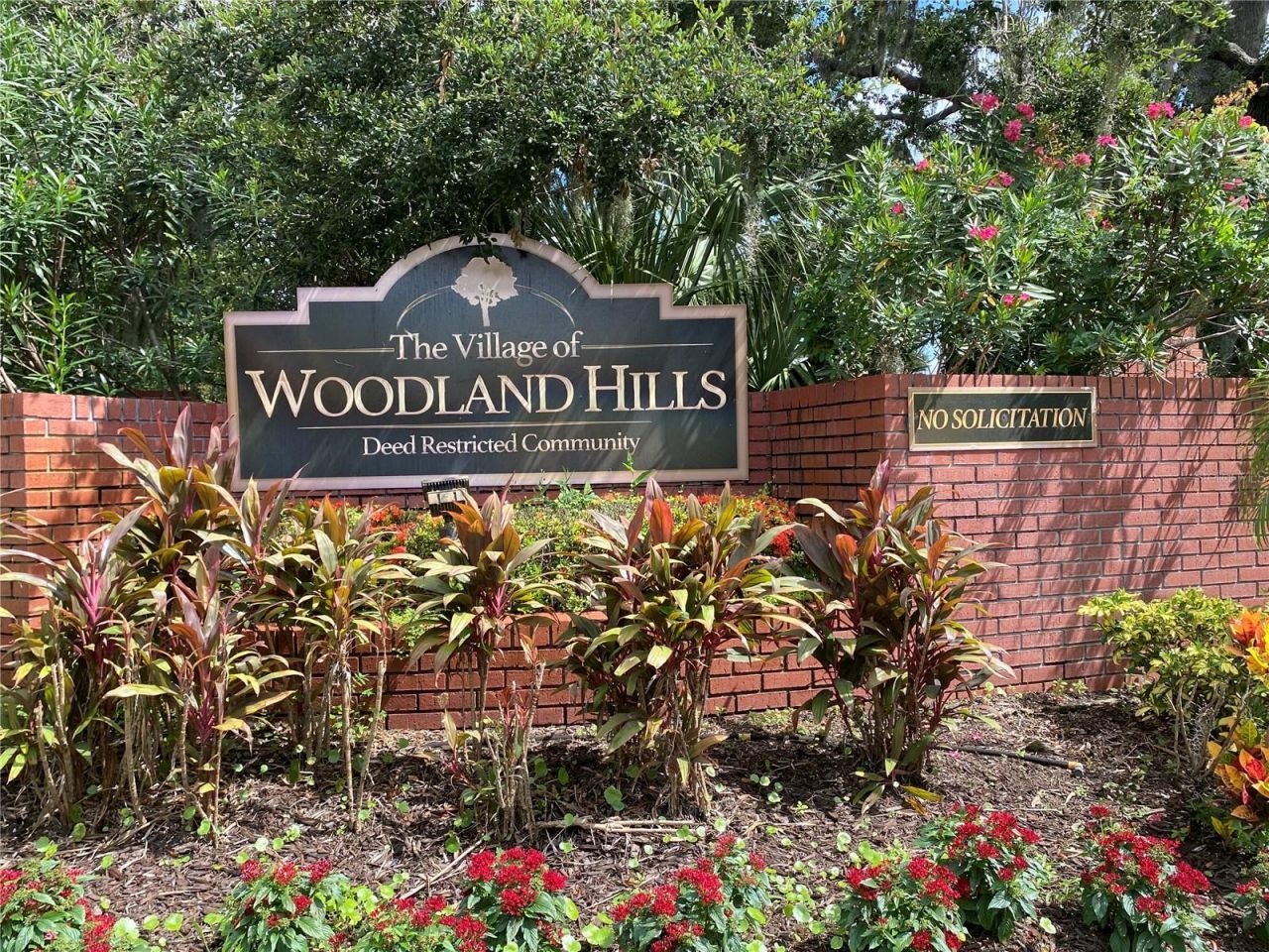 3408 Arcadia Drive, Palm Harbor, FL 34684 Photo