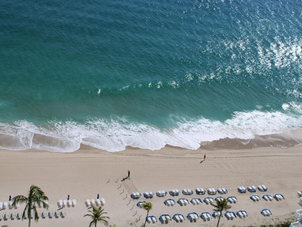 3900 Galt Ocean Drive, Unit 1004, Fort Lauderdale, FL 33308