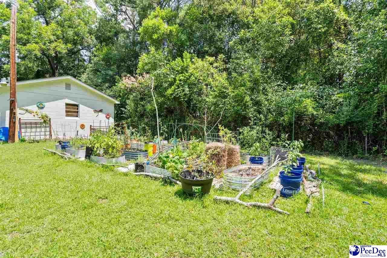 229 Woodwind Drive Photo 22