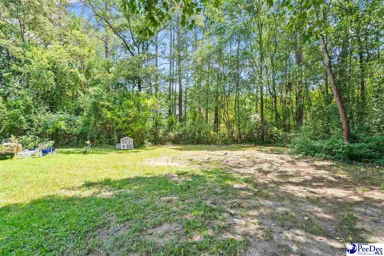 229 Woodwind Drive Photo 25