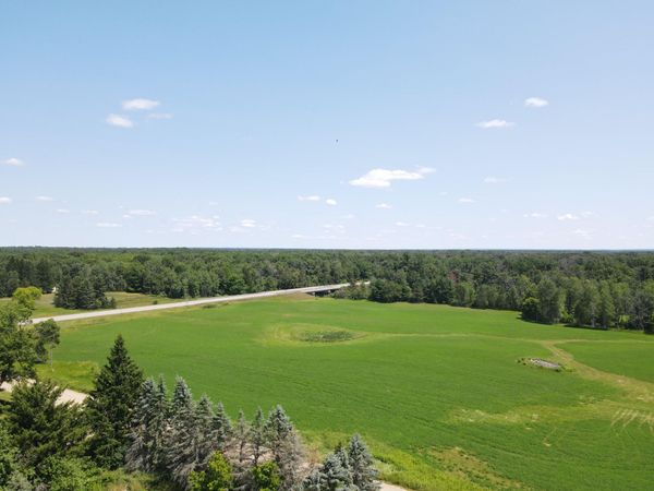 15943 N 20th Avenue, Marion, MI 49665