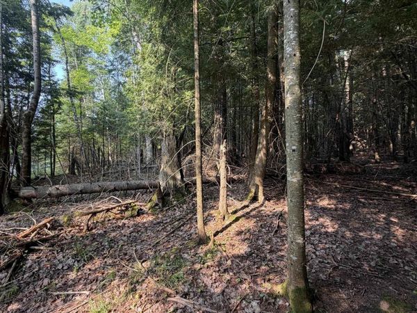 TBD5 Bayshore Road, L'anse Twp, MI 49946