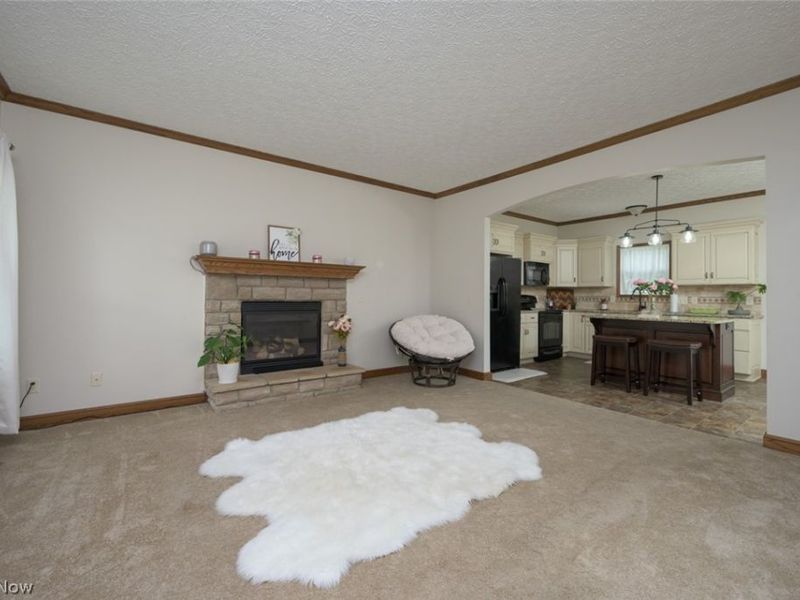 1017 Susan Road, Ravenna, OH 44266 Photo 12