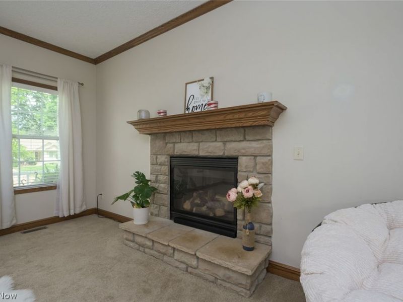 1017 Susan Road, Ravenna, OH 44266 Photo 14