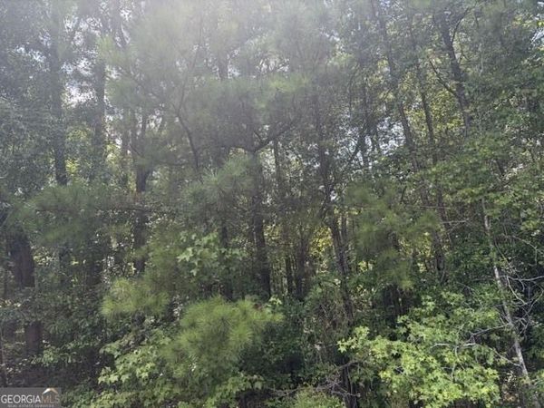 3063 Hamlin Road, Lizella, GA 31052