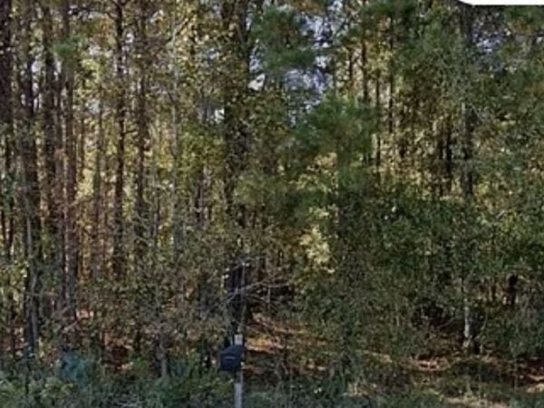 3075 Hamlin Road, Lizella, GA 31052