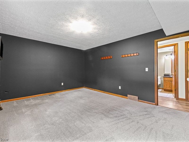 315 Valley Brook Oval, Hinckley, OH 44233 Photo 16