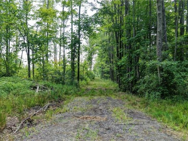 0 BUSHNELL CAMPBELL , Kinsman, OH 44428
