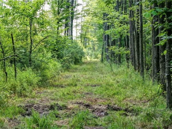 0 BUSHNELL CAMPBELL , Kinsman, OH 44428