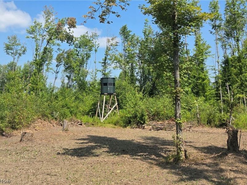 0 BUSHNELL CAMPBELL, Kinsman, OH 44428 Photo 25