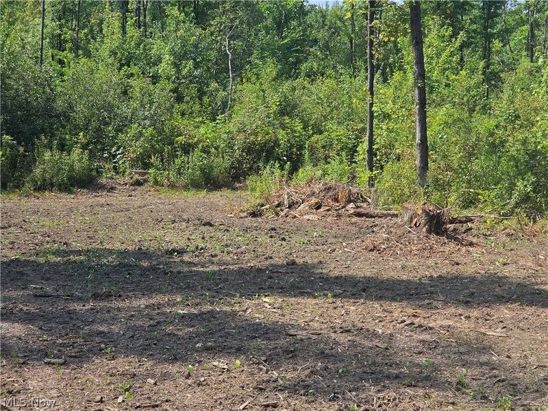 0 BUSHNELL CAMPBELL, Kinsman, OH 44428 Photo 35
