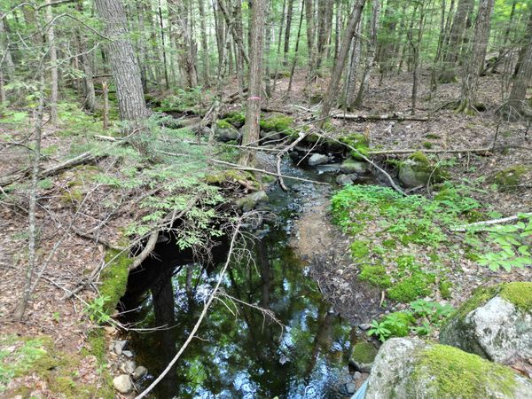 Lot 18-2 Madagascal Pond Road , Burlington, ME 04417