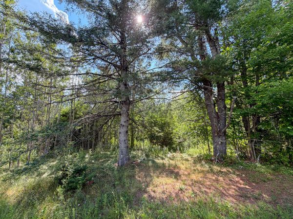 524 Millvale Road , Bucksport, ME 04416