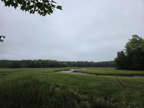 Lot 175 Poplar Lane , Milbridge, ME 04658