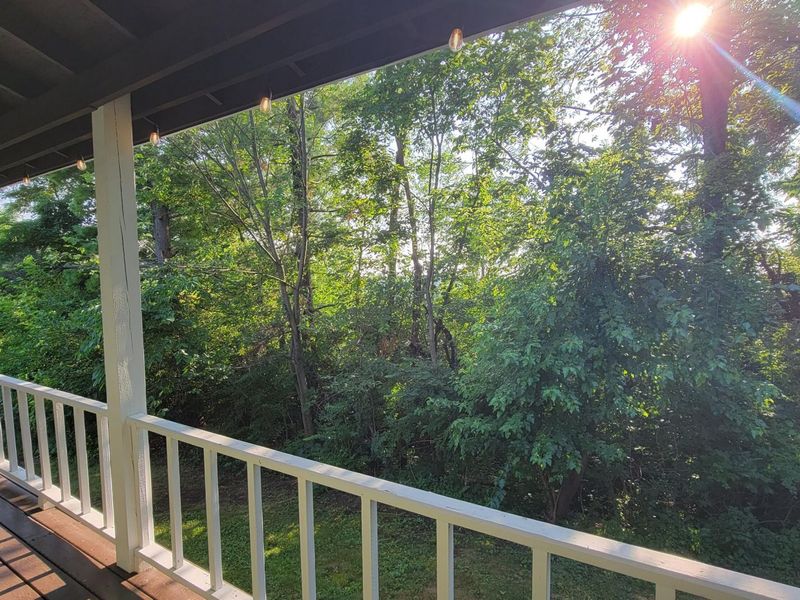 9870 Springhill Degraff Road, De Graff, OH 43318 Photo 54