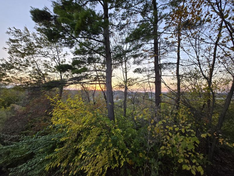 9870 Springhill Degraff Road, De Graff, OH 43318 Photo 55