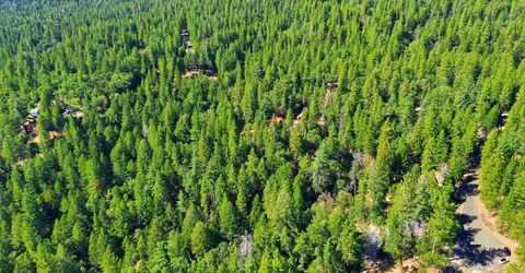 3213 Running Quail Ct, Placerville, CA 95667 Photo