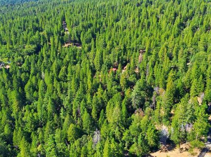 3213 Running Quail Ct, Placerville, CA 95667 Photo