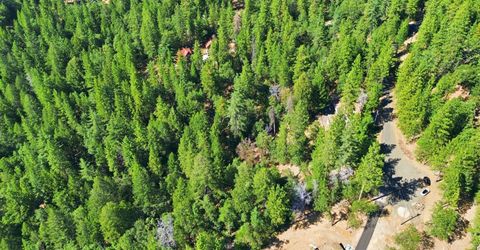 3213 Running Quail Ct, Placerville, CA 95667 Photo