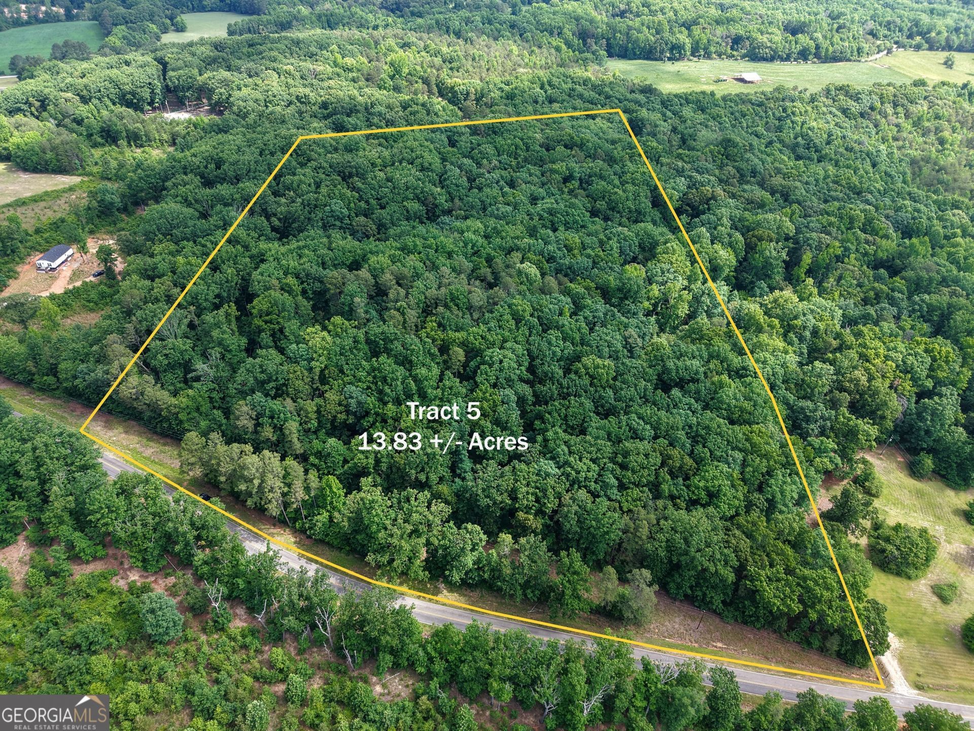 Tract 5 Christmas Tree Road, Homer, GA 30547 Main Photo