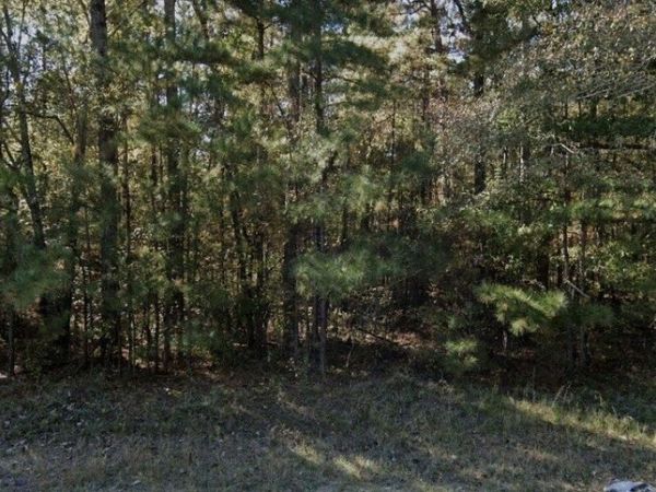 3069 Hamlin Road, Lizella, GA 31052