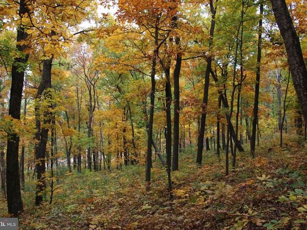 MOOREHEAD ROAD, GORE, VA 22637