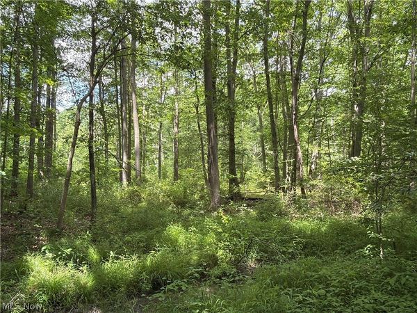 Crosby Cook Road , Rome, OH 44085