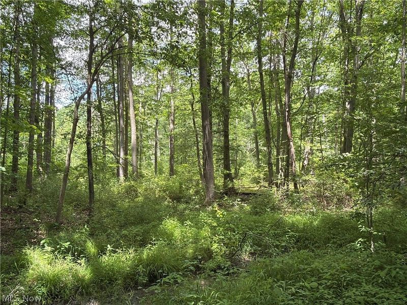Crosby Cook Road , Rome, OH 44085 Photo 1