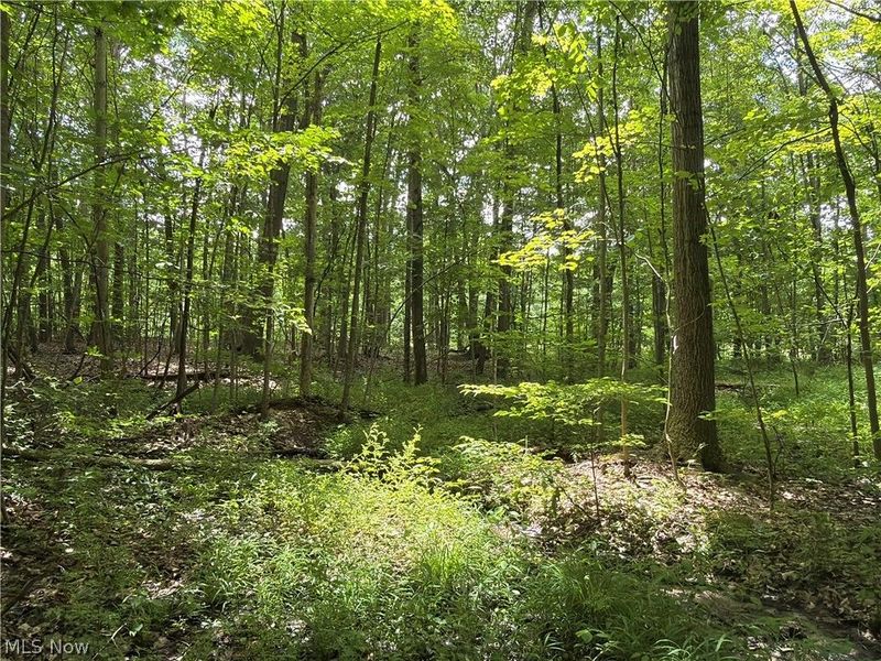 Crosby Cook Road , Rome, OH 44085 Photo 17