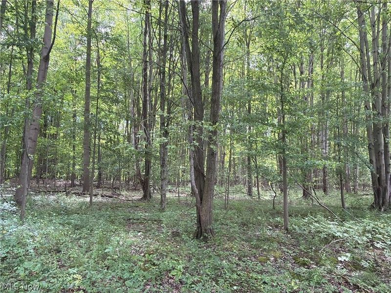 Crosby Cook Road , Rome, OH 44085 Photo 19