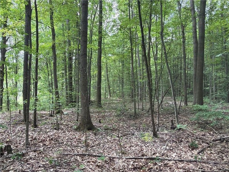 Crosby Cook Road , Rome, OH 44085 Photo 2