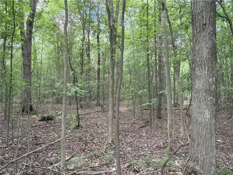 Crosby Cook Road , Rome, OH 44085 Photo 27