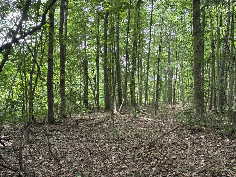 Crosby Cook Road , Rome, OH 44085 Photo 3