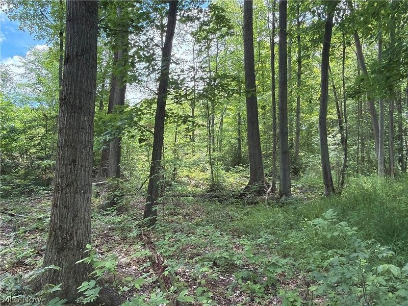 Crosby Cook Road , Rome, OH 44085 Photo 32