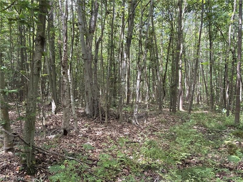 Crosby Cook Road , Rome, OH 44085 Photo 35