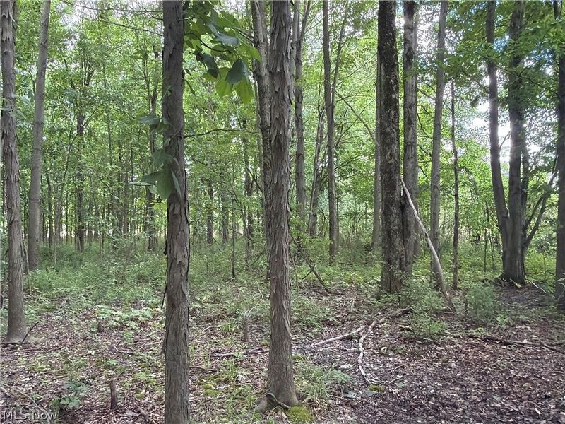 Crosby Cook Road , Rome, OH 44085 Photo 6