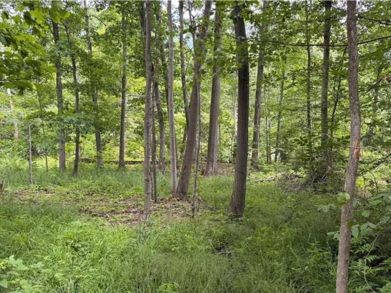 Crosby Cook Road , Rome, OH 44085 Photo 7