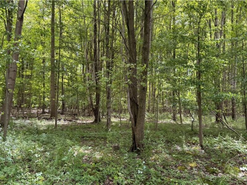 Crosby Cook Road , Rome, OH 44085 Photo 8