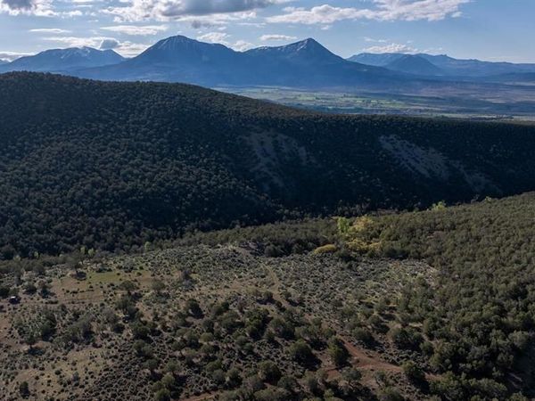 TBD Wolf Park Road, Hotchkiss, CO 81419